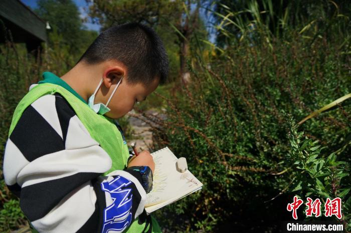 圖為小朋友在青海西寧湟水國家濕地公園內(nèi)認(rèn)識(shí)植物并進(jìn)行繪畫?！●R銘言 攝