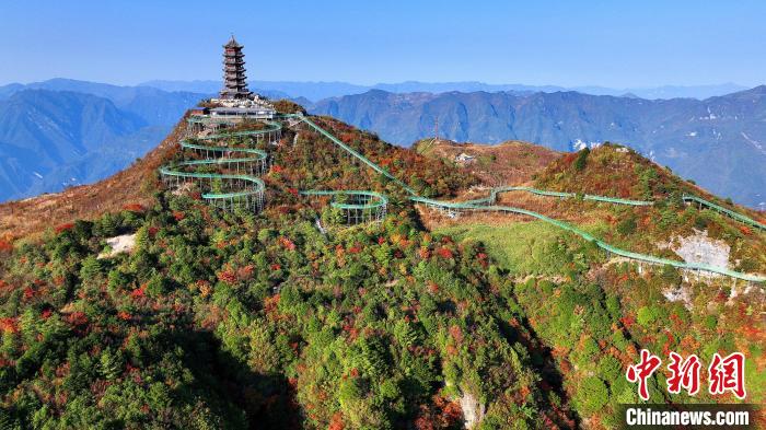 巴山大峽谷彩林迎來最佳觀賞期?！∫κ?攝