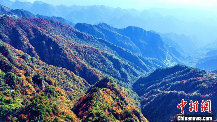 巴山大峽谷彩林迎來最佳觀賞期?！埰?攝