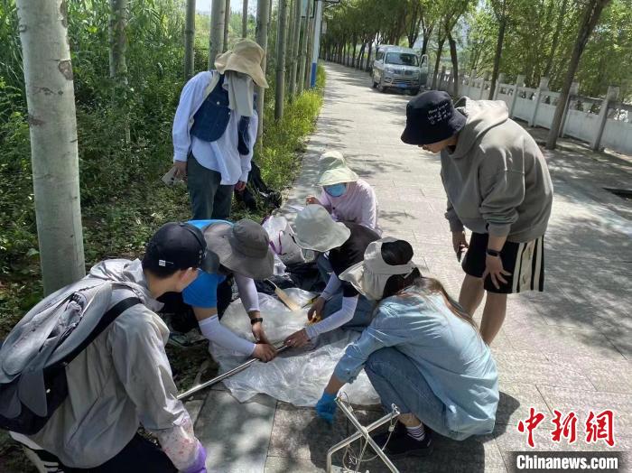 圖為科研人員正在進(jìn)行監(jiān)測(cè)。　西寧湟水國(guó)家濕地公園供圖