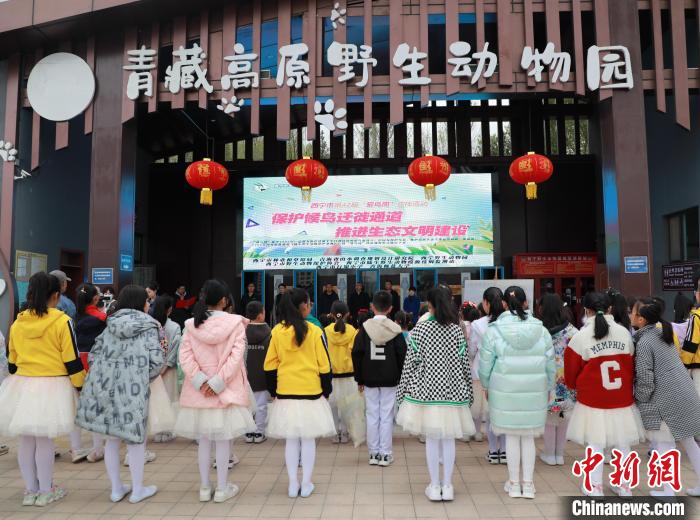 圖為青海省西寧市開展第42屆“愛鳥周”科普宣傳活動(dòng)?！●R銘言 攝