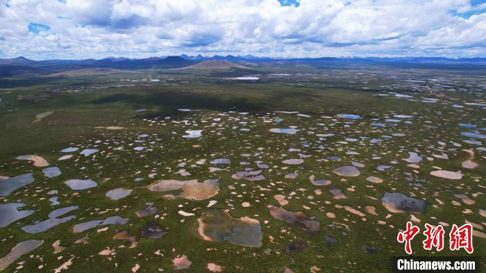 青海整治侵占、污染、破壞濕地類型自然保護地