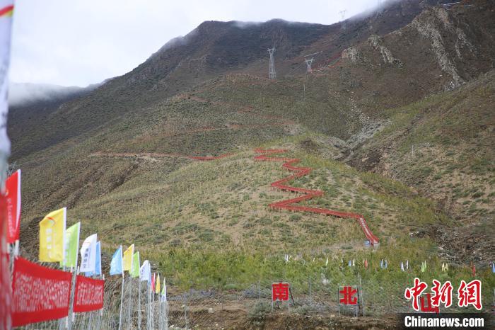 圖為拉薩南北山綠化工程拉薩曲水縣才納村5號片區(qū)?！∝暣_ 攝