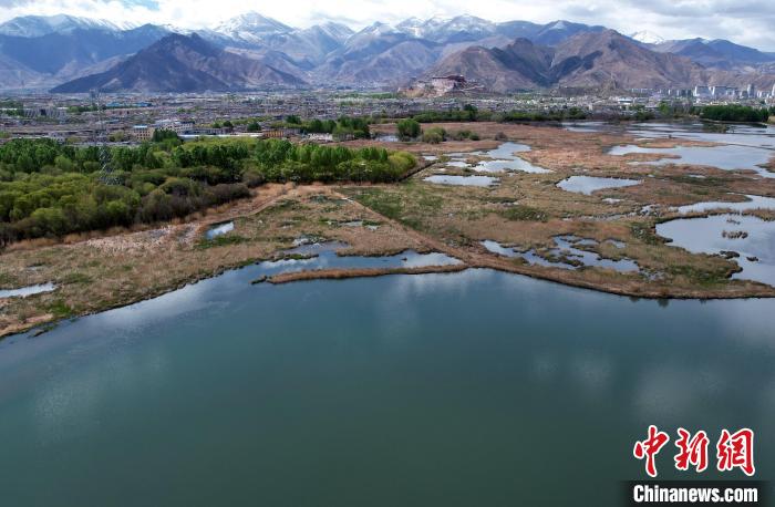 圖為拉薩拉魯濕地。(無人機(jī)照片) 李林 攝