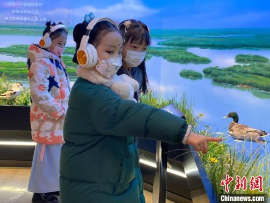 圖為學(xué)生在西寧市第一中學(xué)濕地科普宣教館內(nèi)參觀?！±罱瓕?攝