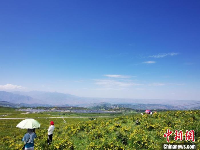 2020年07月07日拍攝于臨夏州積石山縣境內，生態(tài)環(huán)境逐漸恢復，小黃花開遍山間。(資料圖) 殷春永 攝