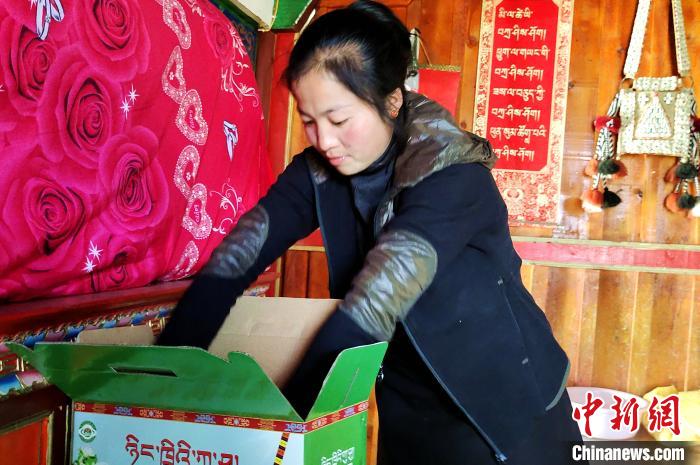 圖為通麥村村民巴桑拉姆把精心挑選的蘋(píng)果裝箱?！∝暽＠?攝