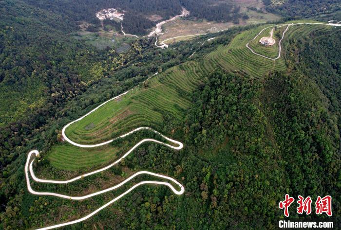 圖為西藏林芝市墨脫縣背崩鄉(xiāng)格林村山頂?shù)木坝^茶園。(無人機(jī)照片) 李林 攝