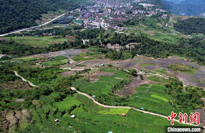 圖為西藏林芝市墨脫縣城附近的茶田。(無人機(jī)照片) 李林 攝