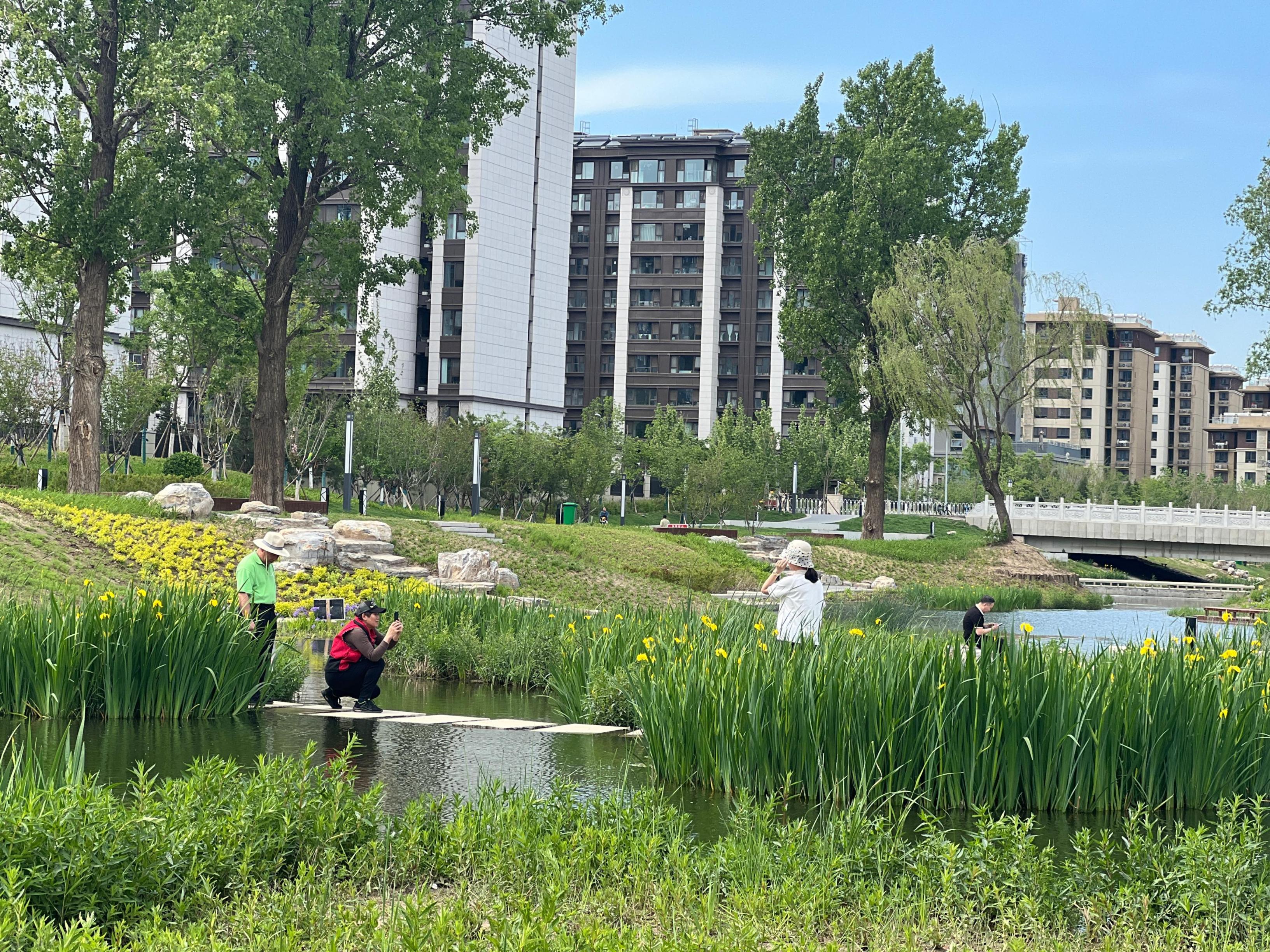 五一渠生態(tài)濱河公園內(nèi)，市民正在拍照留念。人民網(wǎng) 歐陽易佳攝