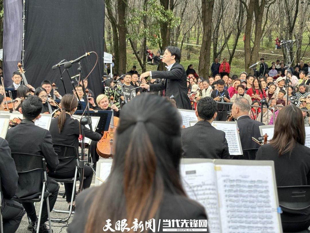 貴陽路邊音樂會·貴安櫻花園專場交響樂現(xiàn)場。丁亞 文丹 攝