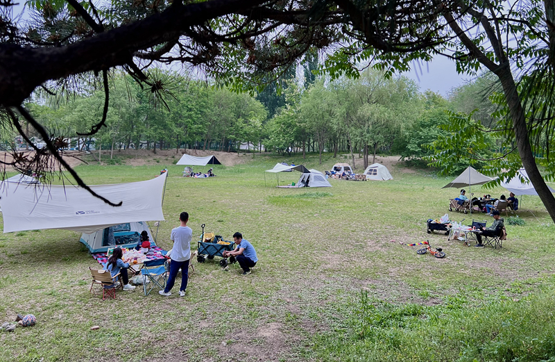“自駕+露營(yíng)”等多元模式受熱捧。人民網(wǎng)記者 王連香攝