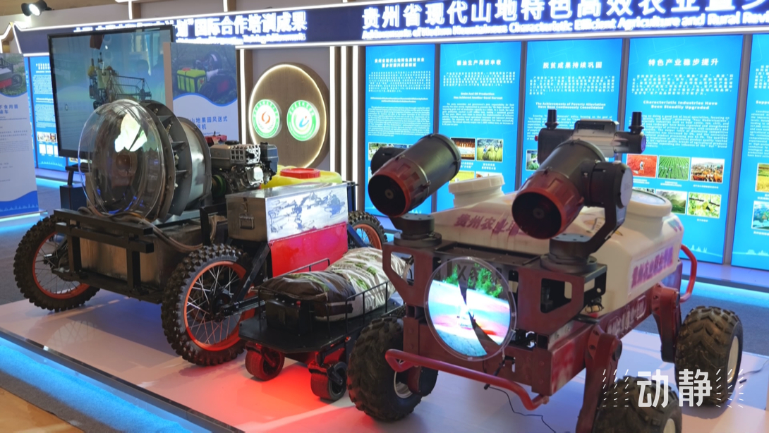 展示成果分享經(jīng)驗(yàn)，中國(guó)—東盟教育交流周深化合作共創(chuàng)未來(lái)！