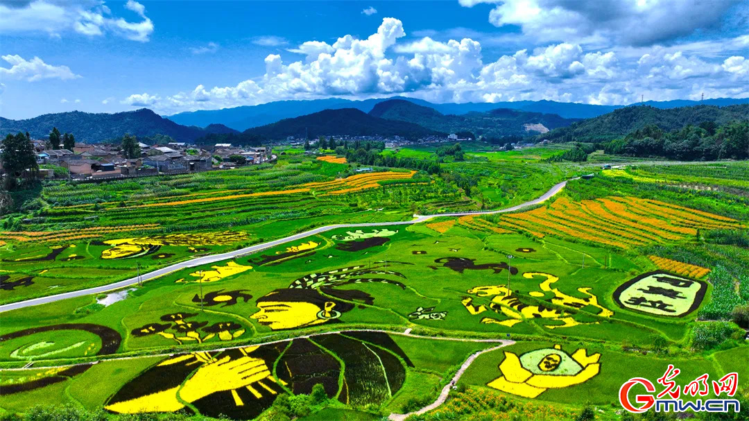 云南清水：延伸公共法律服務(wù)觸角，讓普法與民族團結(jié)進步互促共融