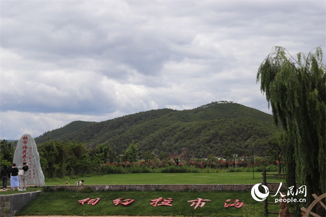 麗江市拉市海景區(qū)。 人民網(wǎng)記者 程浩攝