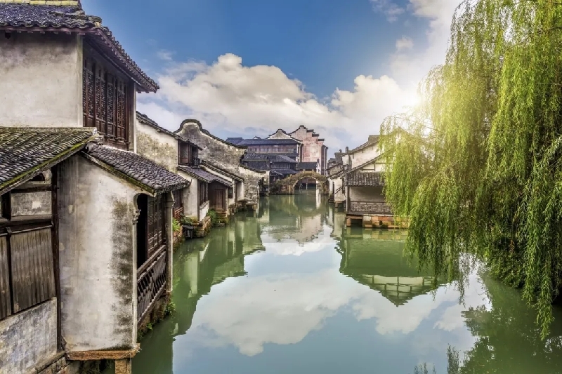 烏鎮(zhèn)動(dòng)觀察｜這個(gè)字，牽起國際交流互鑒之紐帶