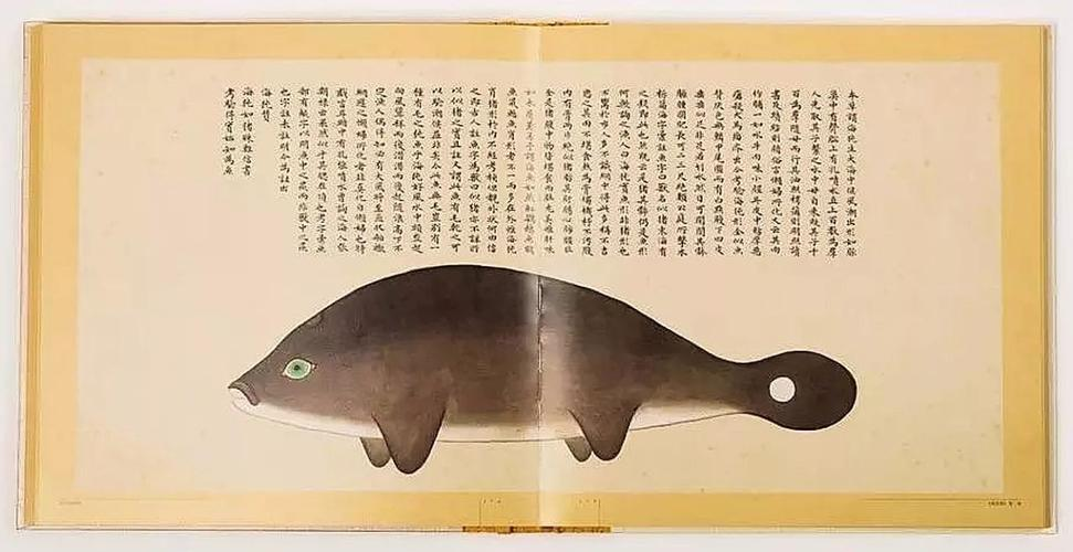 文化中國行 長江之歌丨微笑的江豚，從四千年前“游”來
