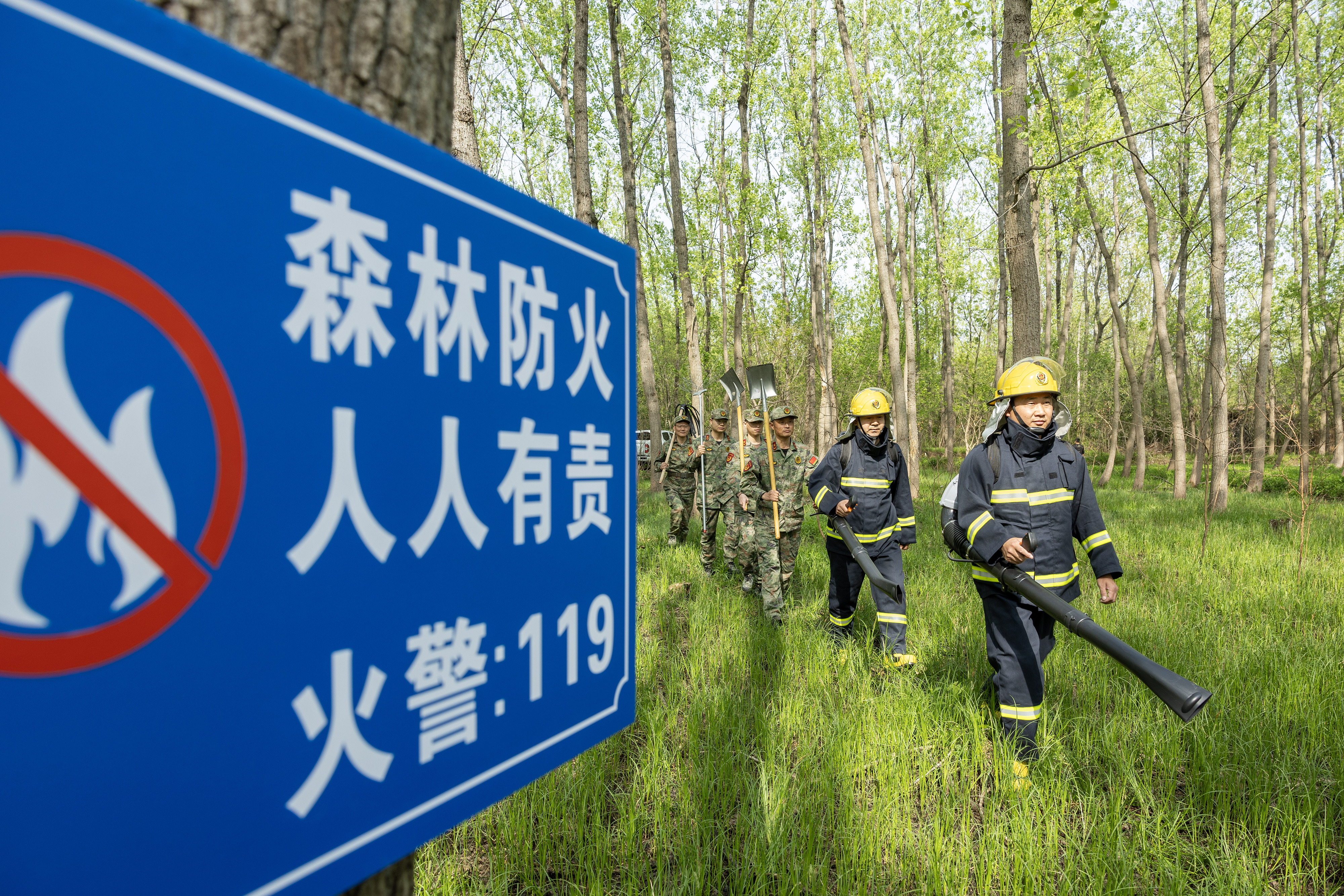 2024年4月9日，合肥市大房郢水庫水源保護(hù)地廬陽經(jīng)濟(jì)開發(fā)區(qū)段，基干民兵正在林間巡查火災(zāi)隱患。