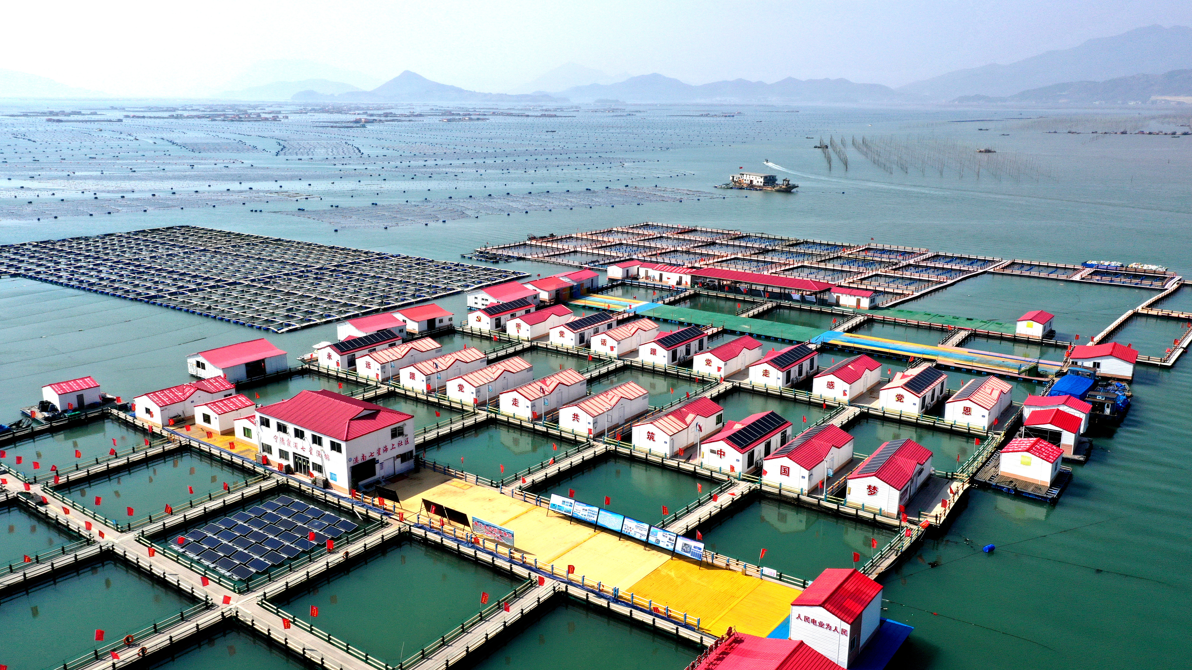 2024年3月20日，福建省寧德市，霞浦縣溪南鎮(zhèn)七星村漁排養(yǎng)殖示范區(qū)，漁民駕駛養(yǎng)殖船進行海參養(yǎng)殖作業(yè)。
