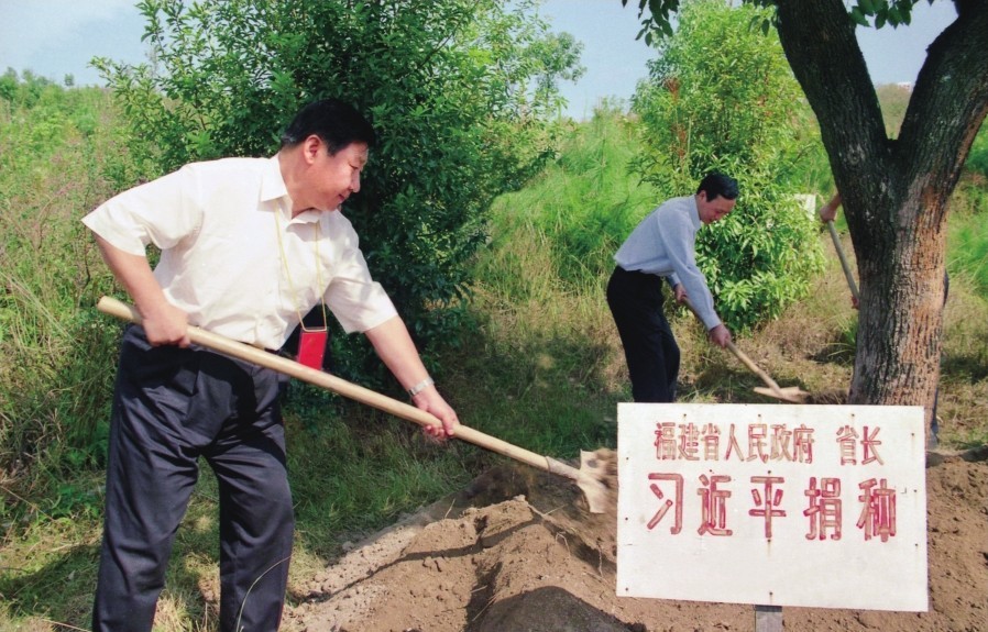 2001年10月，習近平在龍巖市長汀縣調(diào)研水土流失治理工作，在河田世紀生態(tài)園為樹培土。圖源：《習近平在福建（下）》