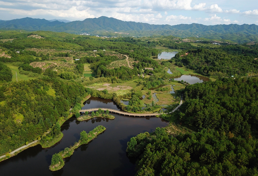 福建省龍巖市長汀縣的長汀汀江國家濕地公園景色（2020年7月28日攝，無人機照片）。新華社記者 魏培全 攝