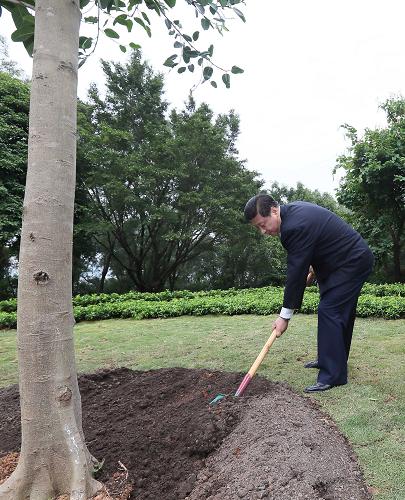 2012年12月7日至11日，習(xí)近平在廣東省考察工作。這是8日上午，習(xí)近平在深圳蓮花山公園種下一棵高山榕樹。新華社記者 蘭紅光 攝