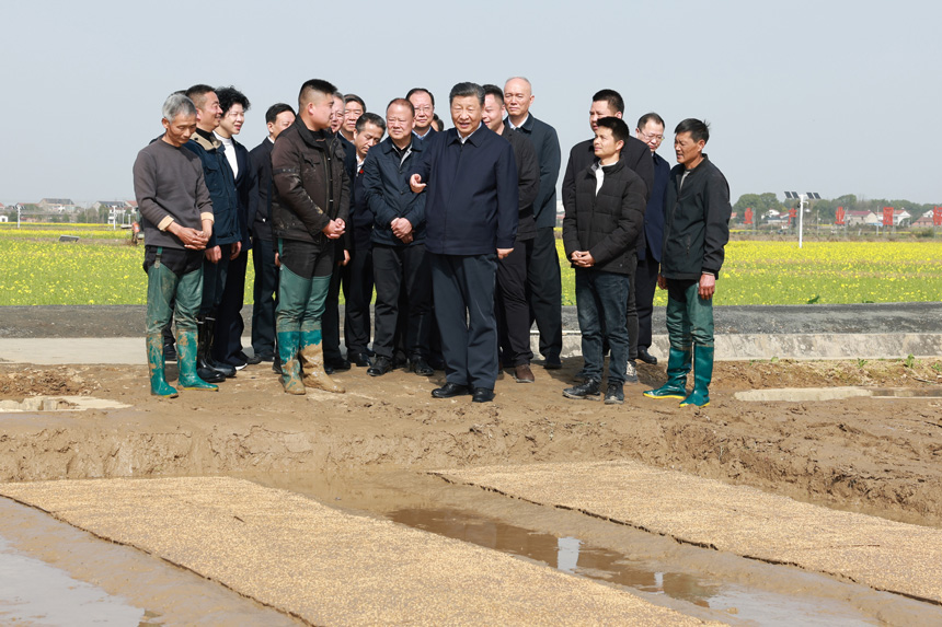 2024年3月18日至21日，中共中央總書記、國家主席、中央軍委主席習(xí)近平在湖南考察。這是19日下午，習(xí)近平在常德市鼎城區(qū)謝家鋪鎮(zhèn)港中坪村走進(jìn)田間，察看秧苗培育和春耕備耕進(jìn)展。新華社記者 王曄 攝