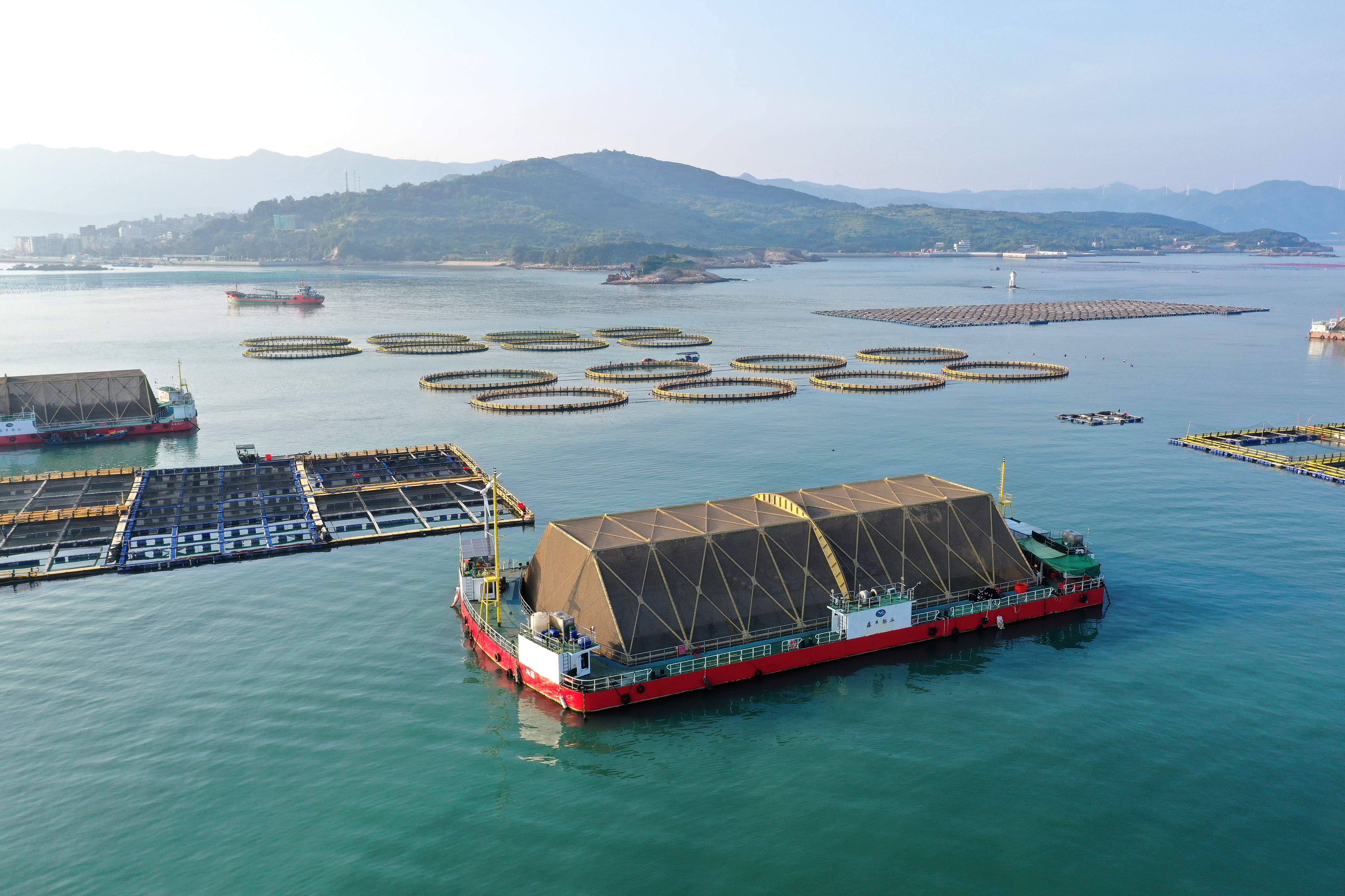 2024年9月10日拍攝的福建省福州市連江縣定海灣海域的現(xiàn)代化“海上糧倉”。