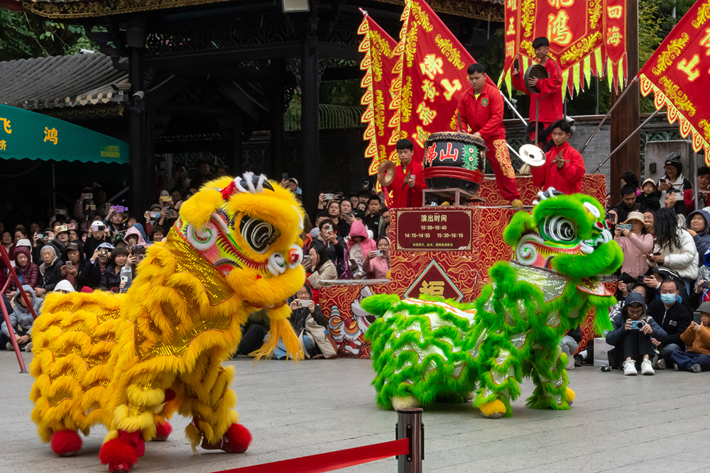 圖為廣東省佛山市祖廟的醒獅表演。