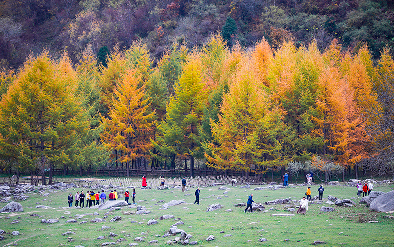 2023年10月27日，深秋時節(jié)的陜西秦嶺太子嶺漫山紅黃、色彩交織，進入最佳觀賞期。