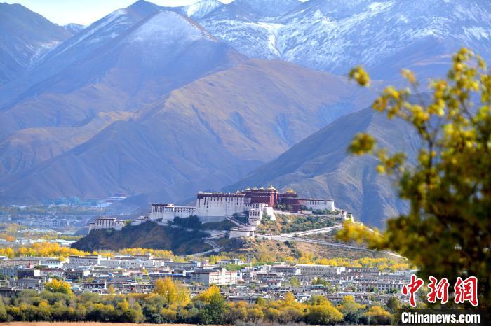 10月24日，雪山、布達(dá)拉宮和秋色組成“風(fēng)景畫”?！〗w波 攝