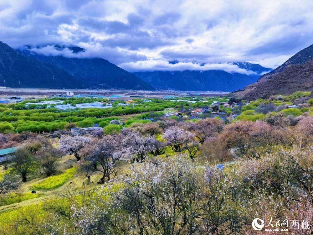 桃花從中的“童話小鎮(zhèn)”。人民網(wǎng) 李海霞攝