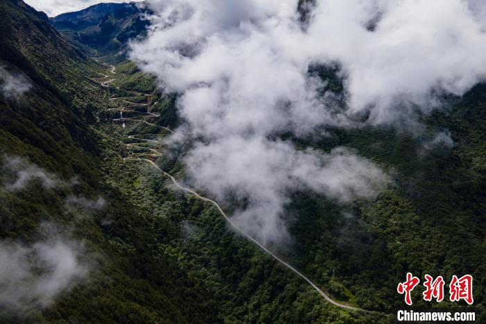 西藏山南勒布溝景區(qū)的盤山公路被云霧環(huán)繞?！〗w波 攝