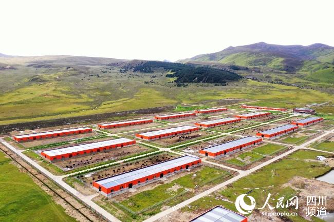 建設(shè)中的理塘縣牦牛產(chǎn)業(yè)園。葉強(qiáng)平攝