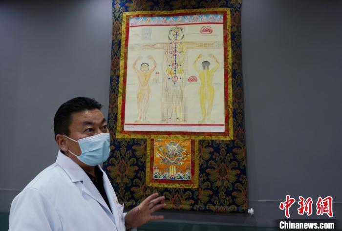 圖為興?？h藏醫(yī)院院長介紹藏醫(yī)四部醫(yī)典詳實圖。　馬銘言 攝