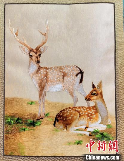 圖為藏繡作品?！∑钤鲚?攝