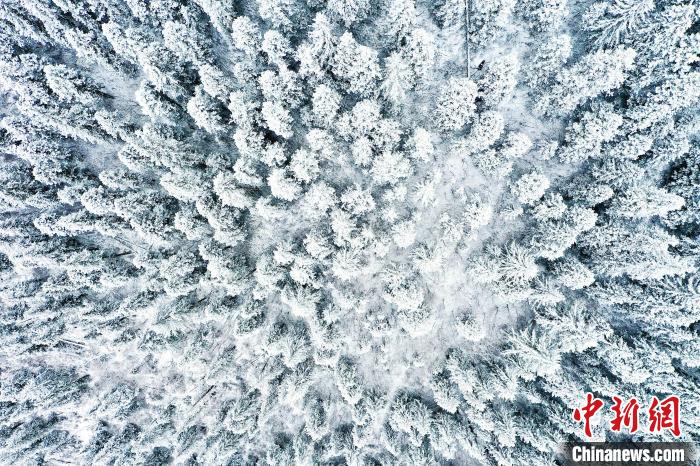 壤塘的雪后美景。　壤塘縣融媒體中心供圖