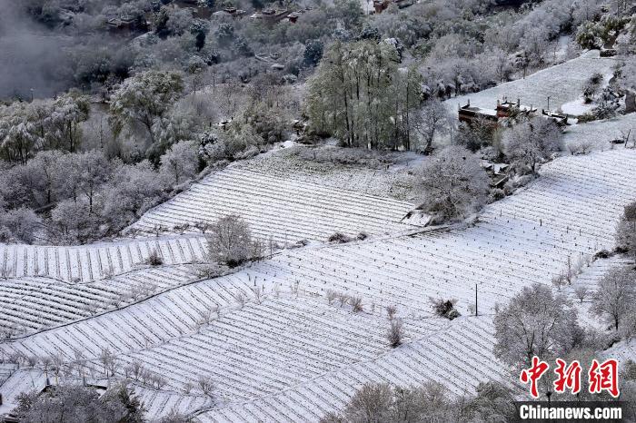 雪后的高山田間如畫?！±钣腊?攝
