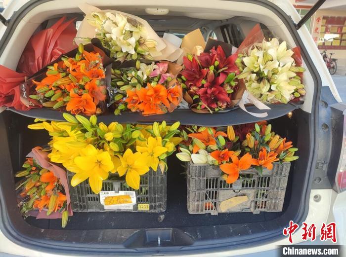 剛剛采摘下來的百合花?！∪捞量h委宣傳部供圖