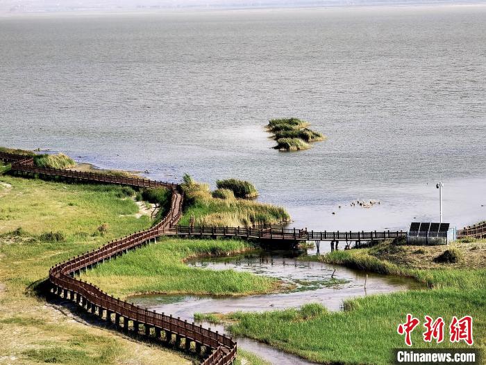 圖為都蘭湖國(guó)家濕地公園觀光棧道?！∑钤鲚?攝