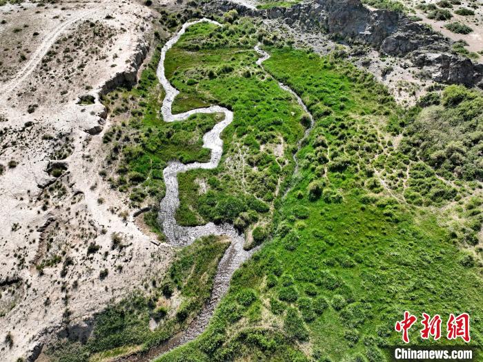 圖為航拍都蘭湖國(guó)家濕地公園綠意盎然?！∑钤鲚?攝