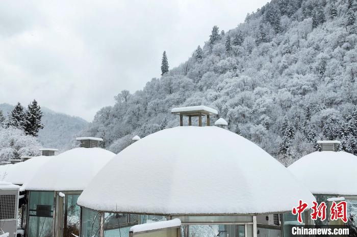 大熊貓國(guó)家公園王朗片區(qū)春雪如畫，宛若仙境。　羅春平 攝