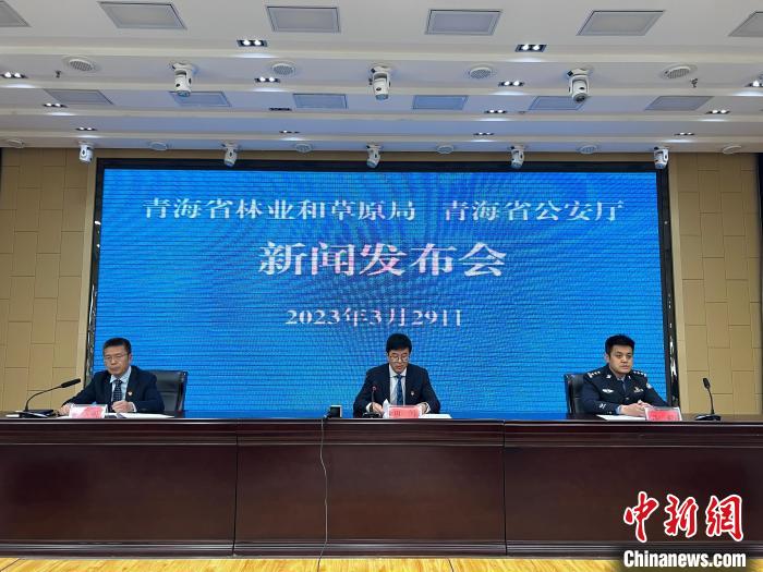 青海去年占用林地、草地準(zhǔn)予許可件同比實現(xiàn)“雙減”