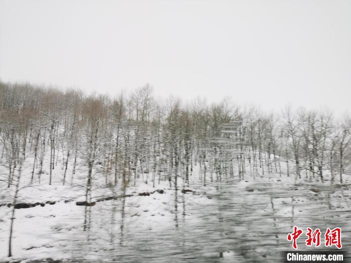 圖為青海青沙山區(qū)域被降雪覆蓋?！?zhí)砀?攝