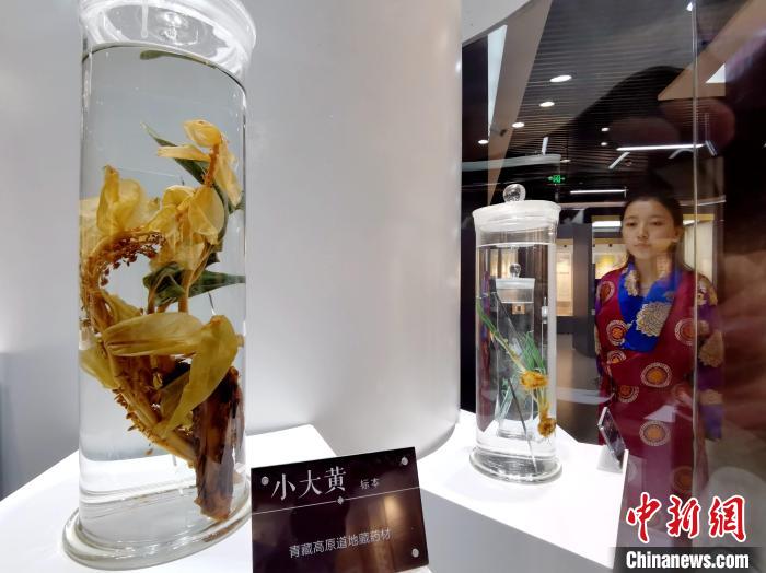 青海中藏醫(yī)藥發(fā)展提速：建設(shè)一批重點?？茖W科，推廣一批適宜技術(shù)