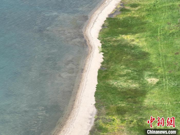 圖為航拍仲夏時節(jié)，青海湖畔綠茵如毯?！∑钤鲚?攝