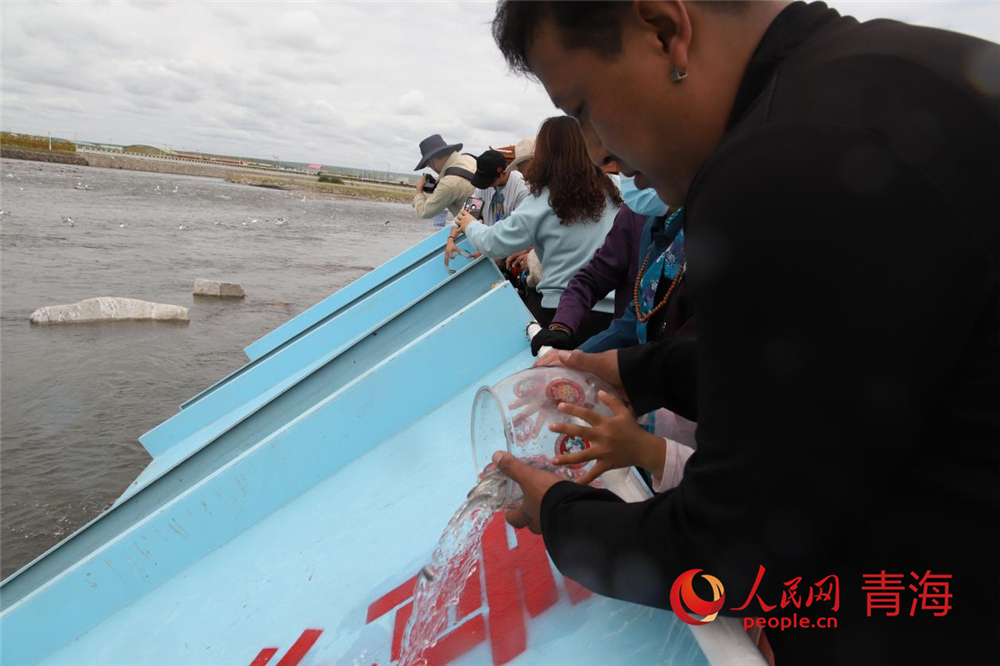 群眾放流青海湖裸鯉。人民網(wǎng) 陳明菊攝