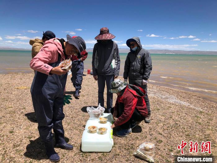 科考隊(duì)員在高原湖泊岸邊進(jìn)餐。　<a target='_blank' ><p  align=