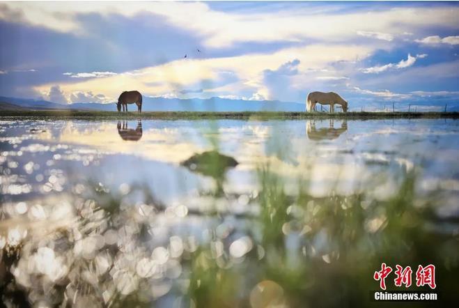 資料圖：那曲市申扎縣境內(nèi)的濕地。李雪峰 攝