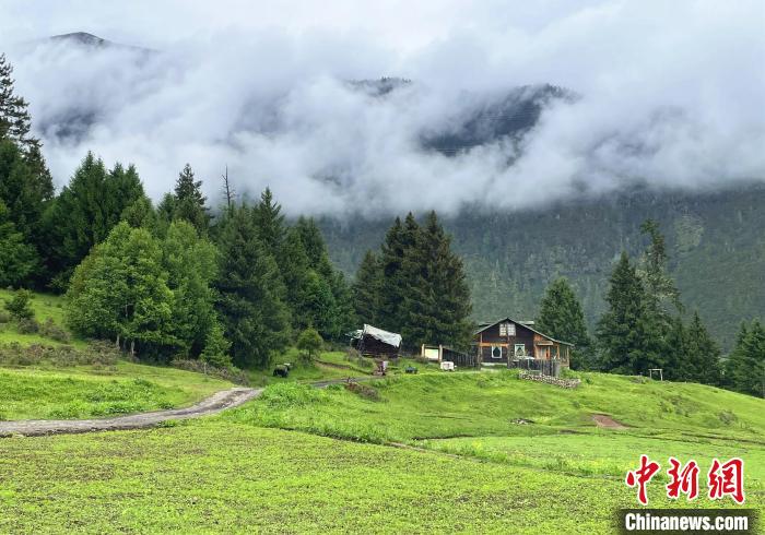6月10日，魯朗小鎮(zhèn)高山牧場景區(qū)風(fēng)光。　冉文娟 攝